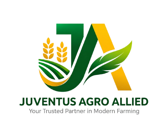 jv removebg preview